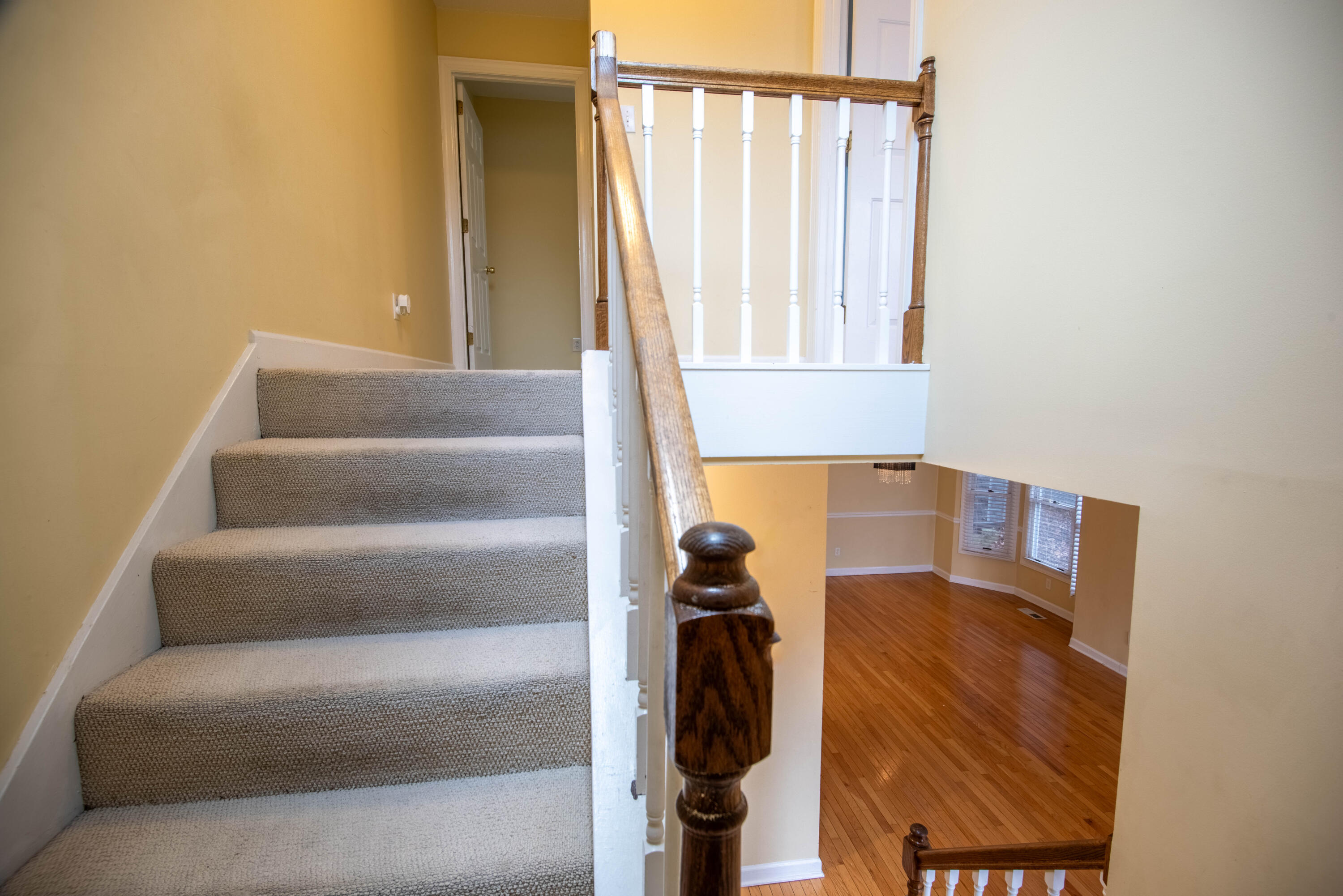 527 Winterview Lane
