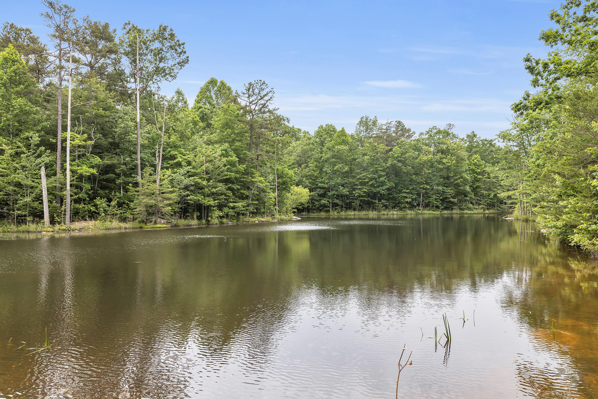 916 N Rim Drive, Nb1