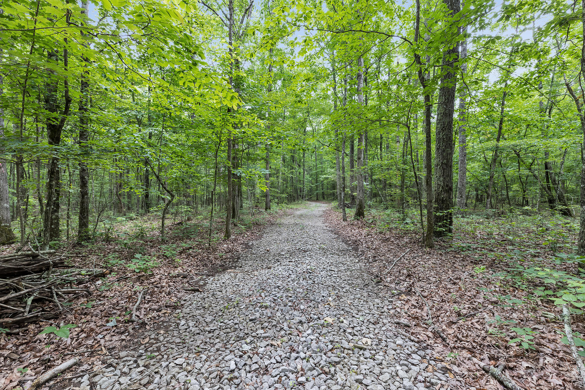 916 N Rim Drive, Nb1