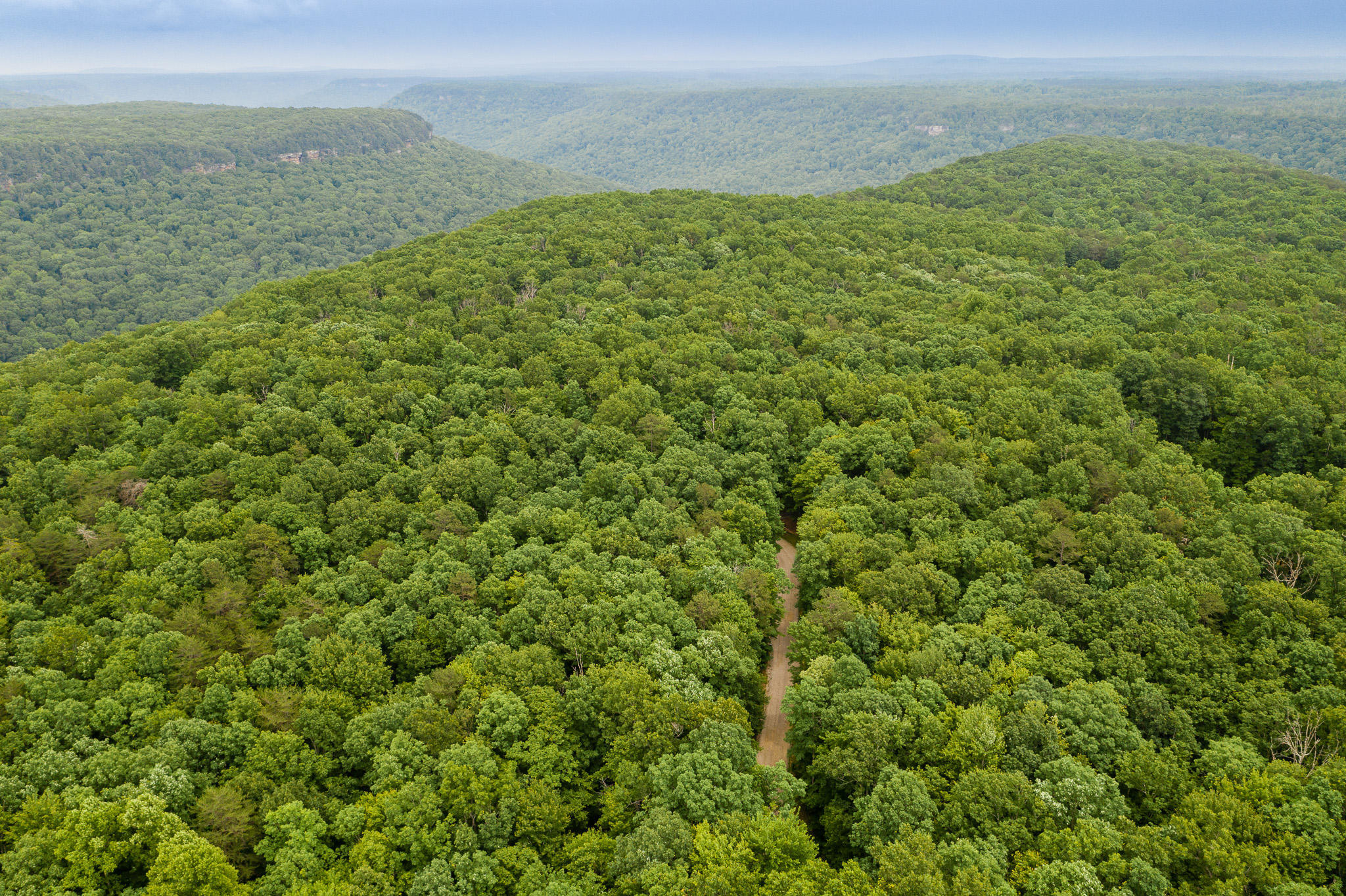 916 N Rim Drive, Nb1