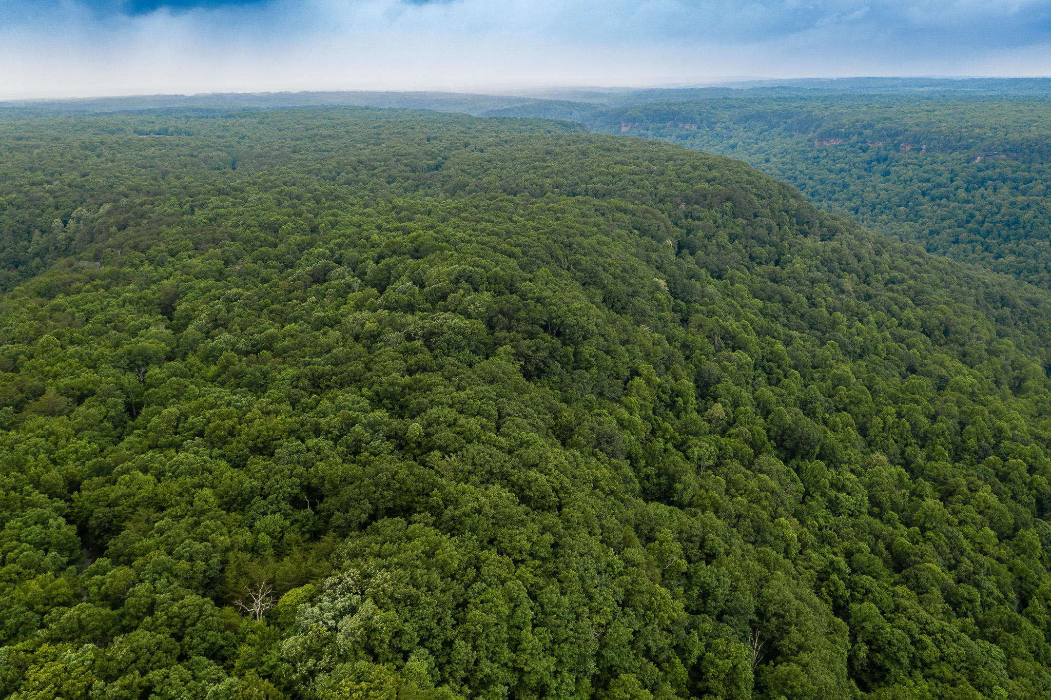 916 N Rim Drive, Nb1