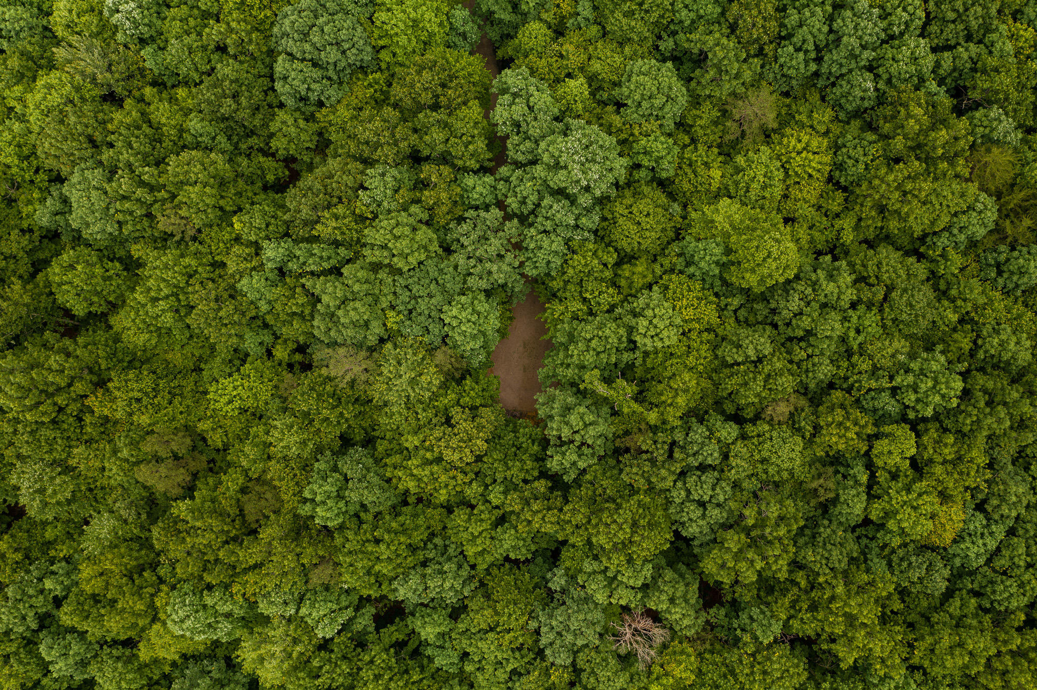 916 N Rim Drive, Nb1