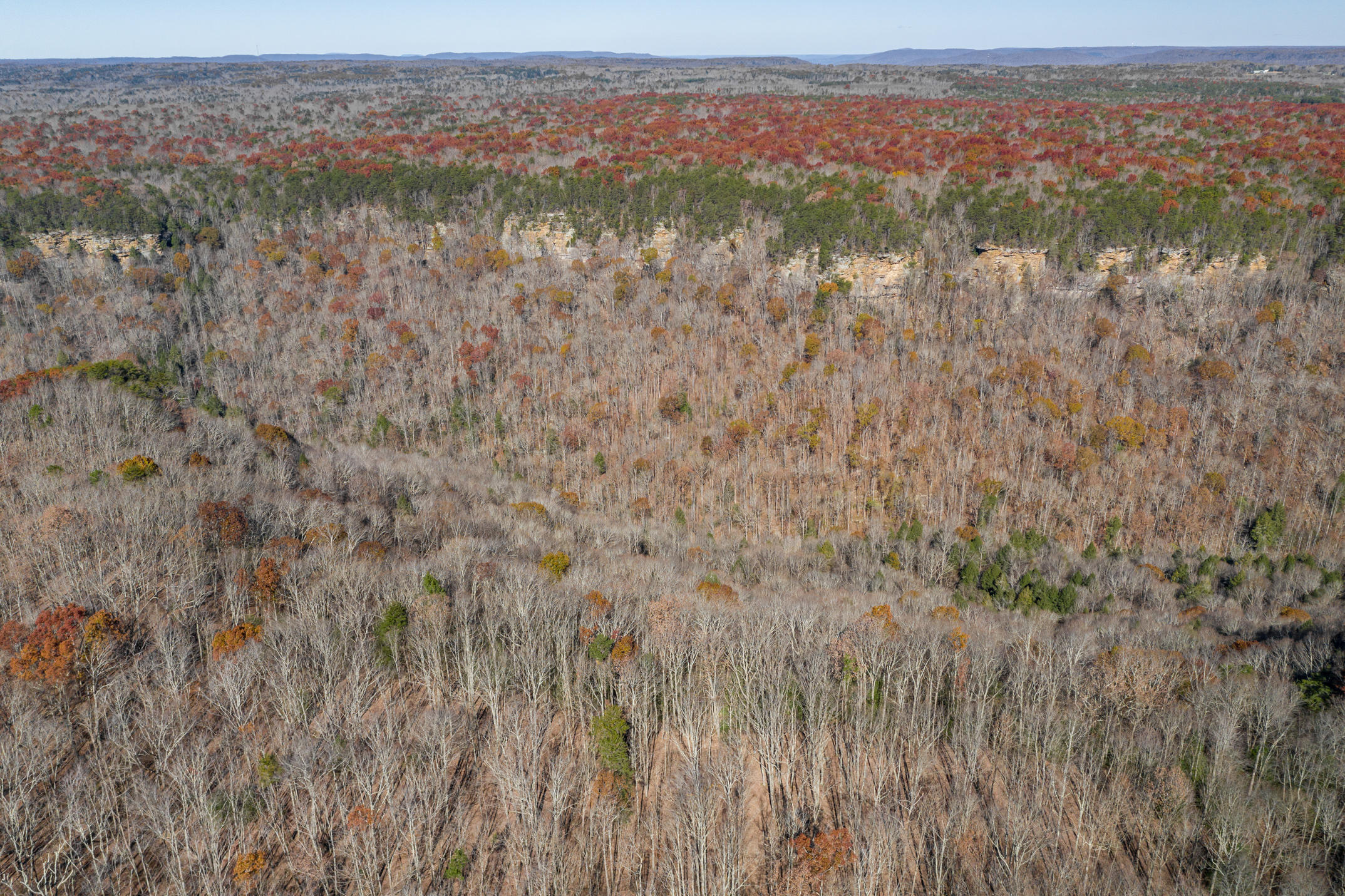 916 N Rim Drive, Nb1