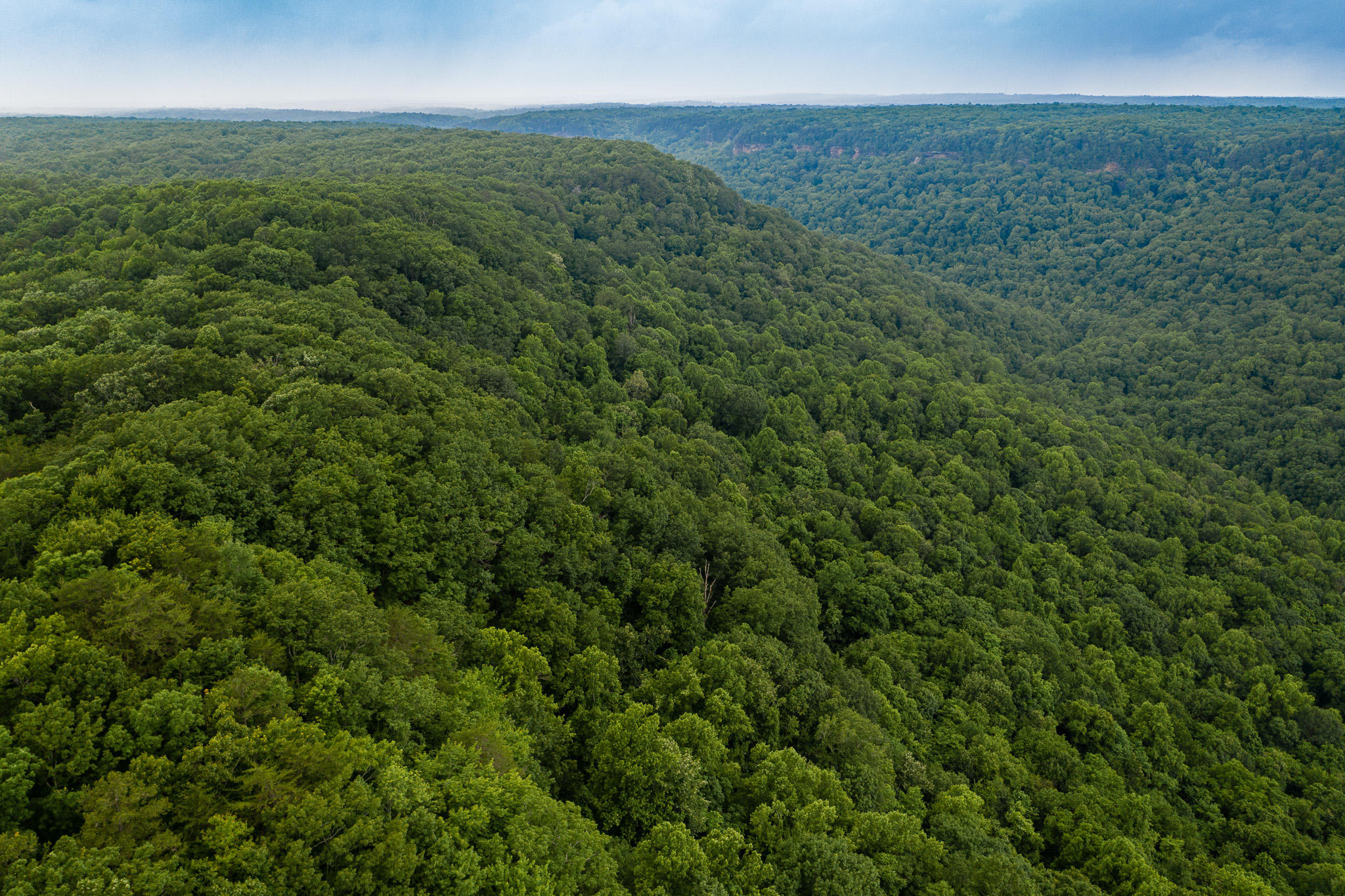 916 N Rim Drive, Nb1