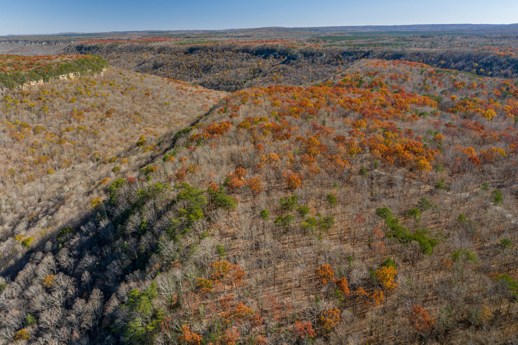 916 N Rim Drive, Nb1