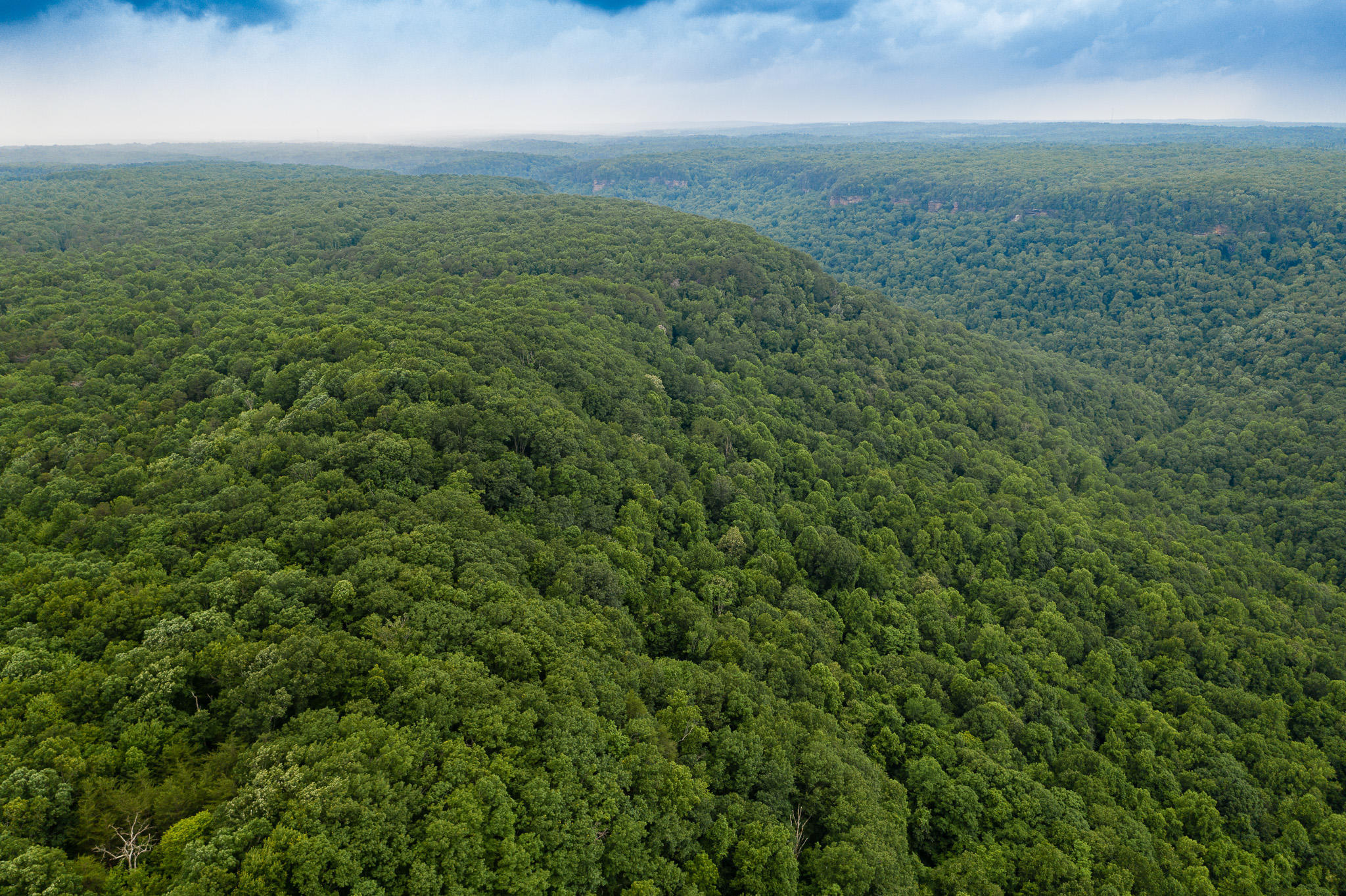 916 N Rim Drive, Nb1