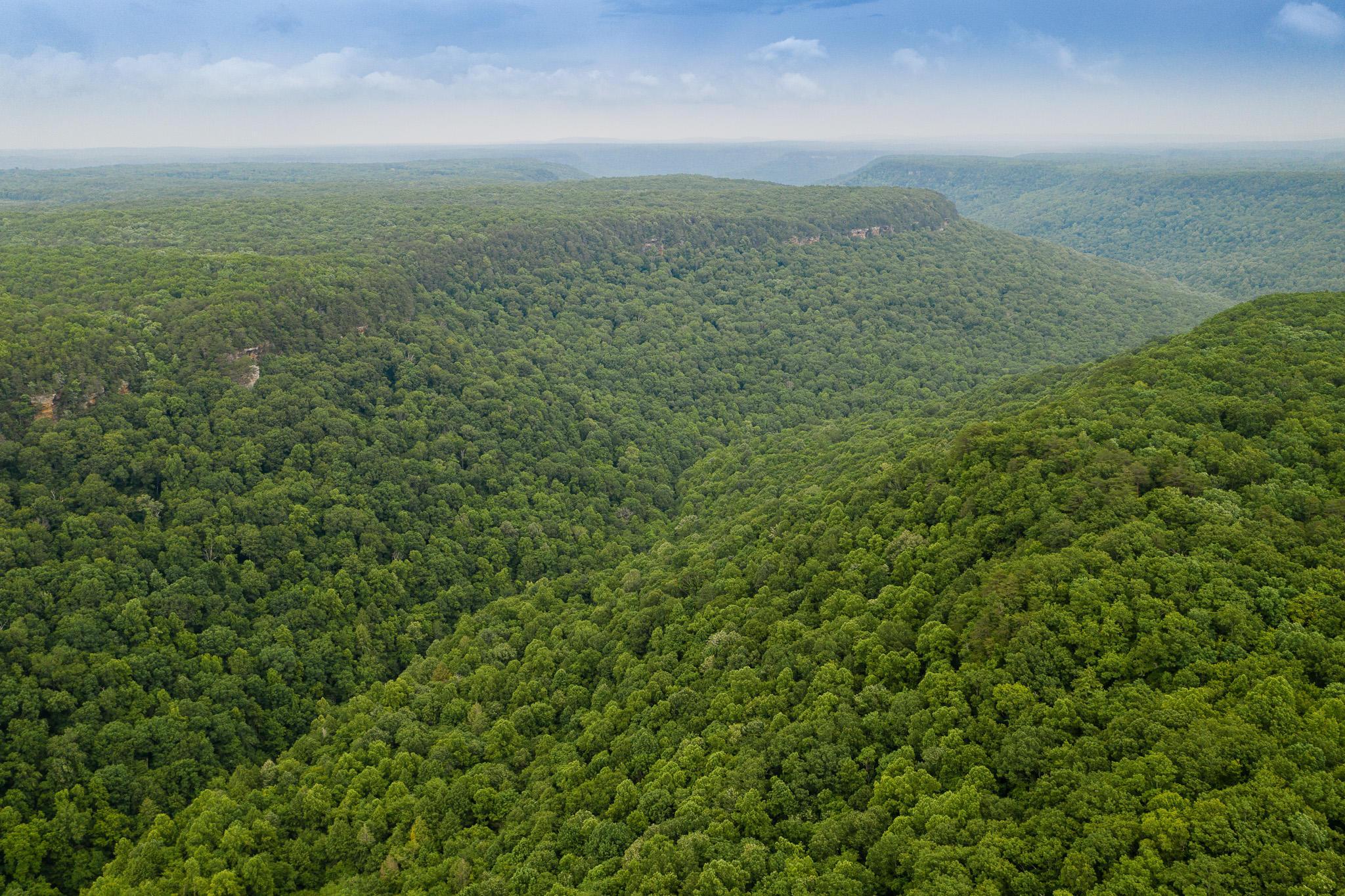 916 N Rim Drive, Nb1