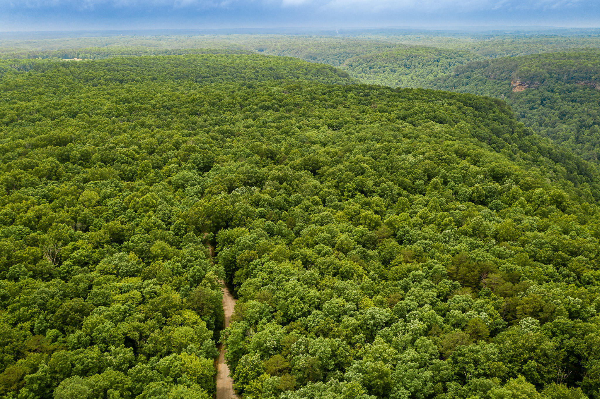 916 N Rim Drive, Nb1