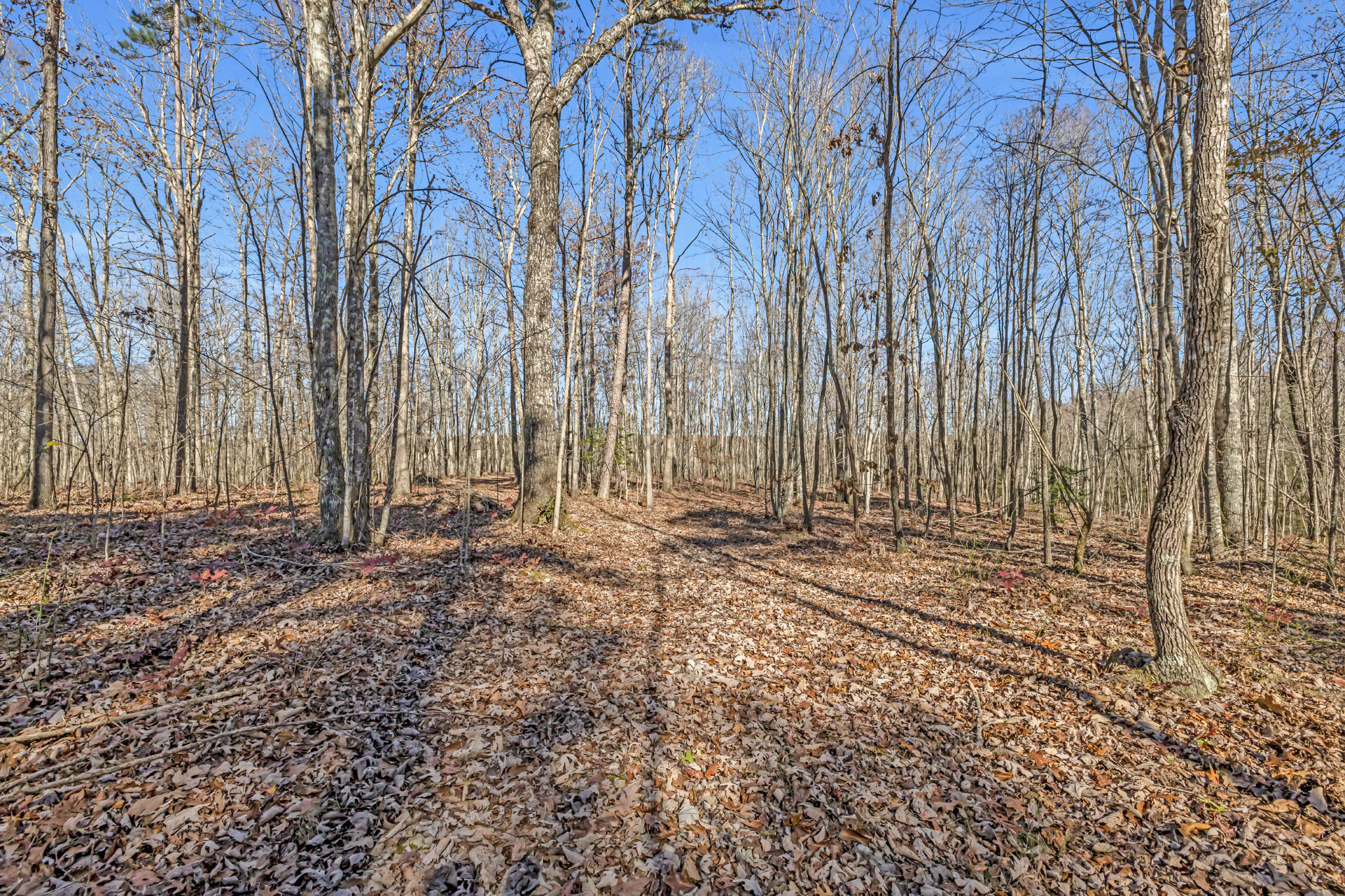 916 N Rim Drive, Nb1