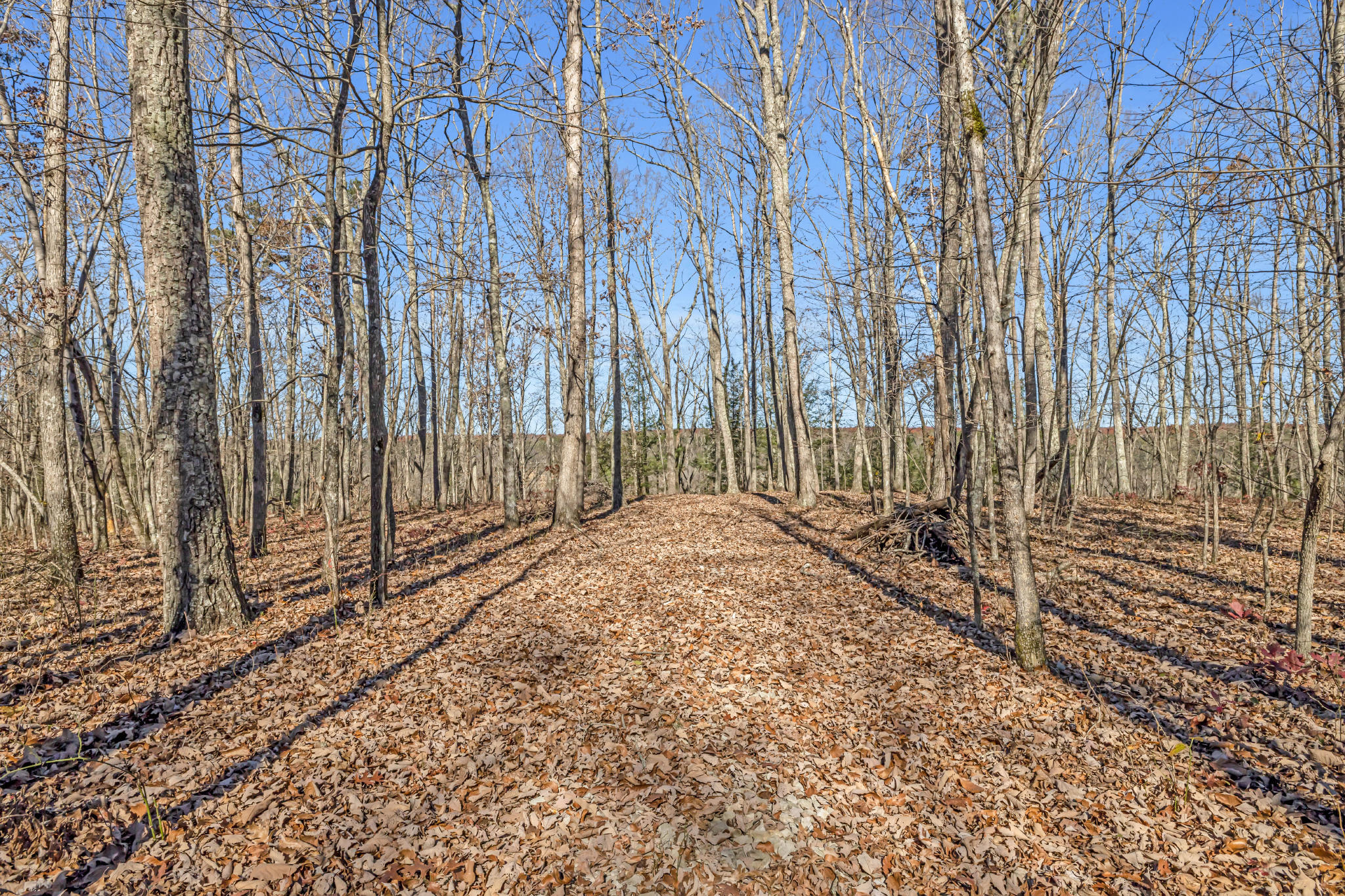 916 N Rim Drive, Nb1