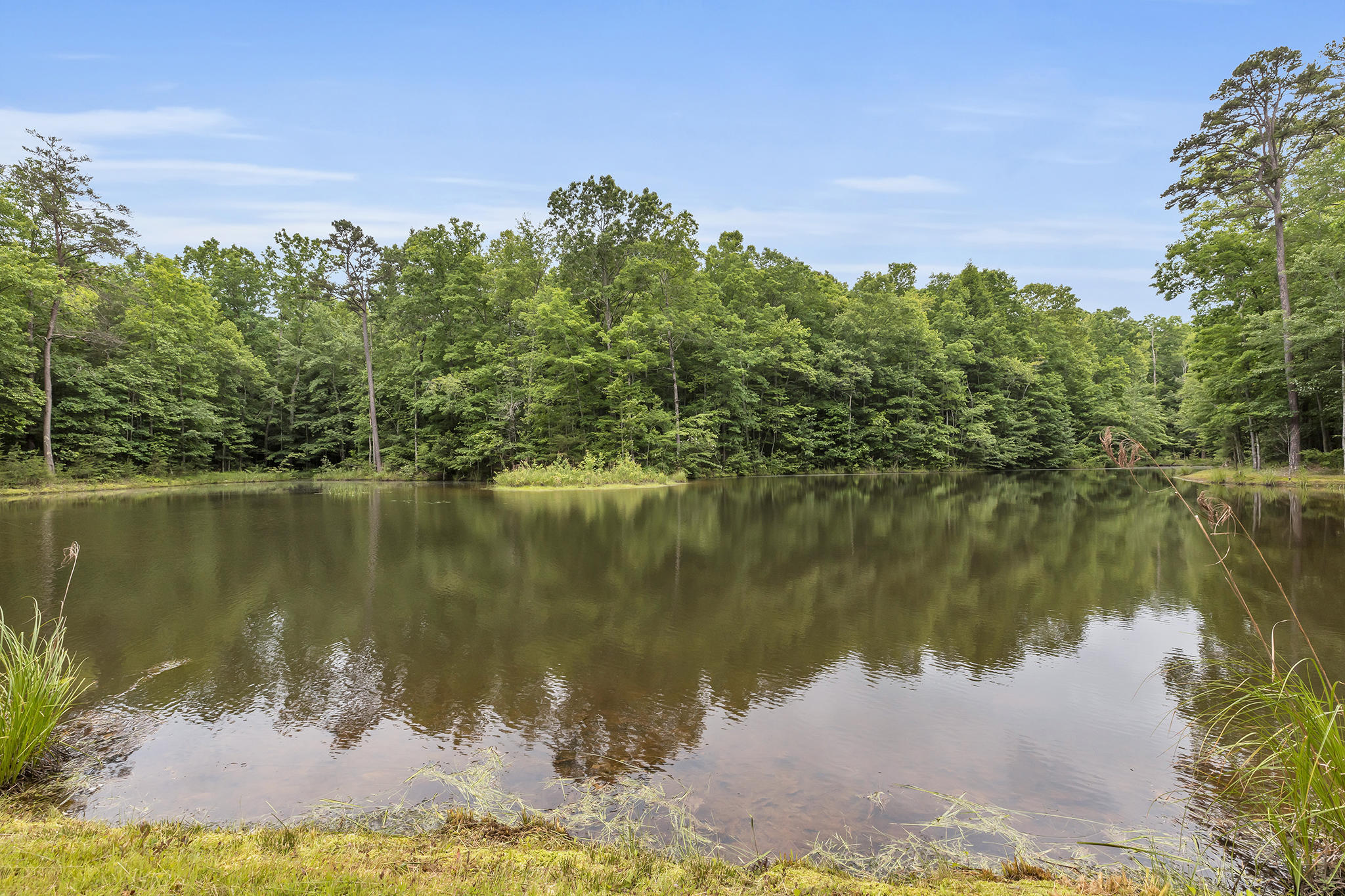 916 N Rim Drive, Nb1