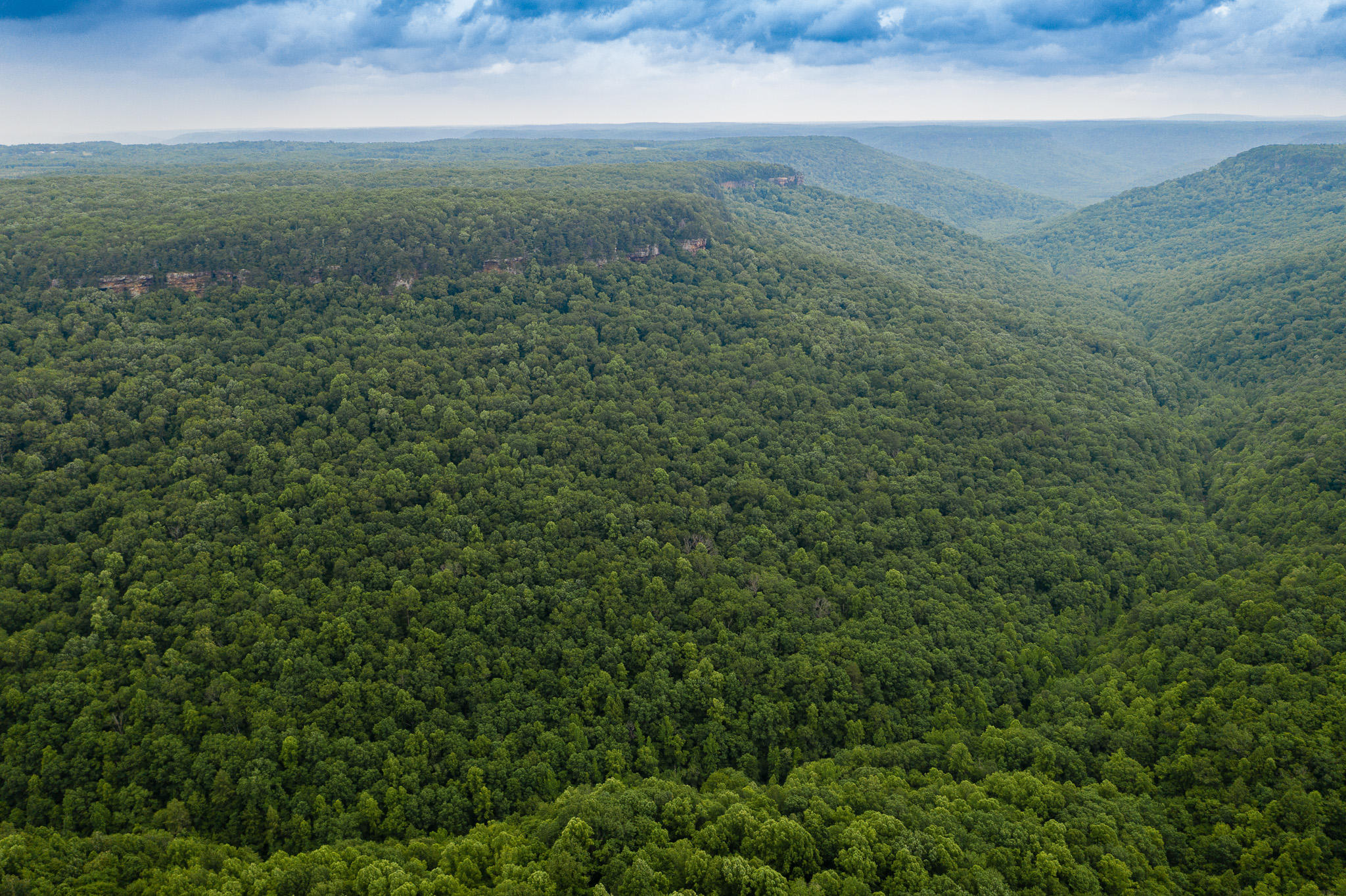 916 N Rim Drive, Nb1