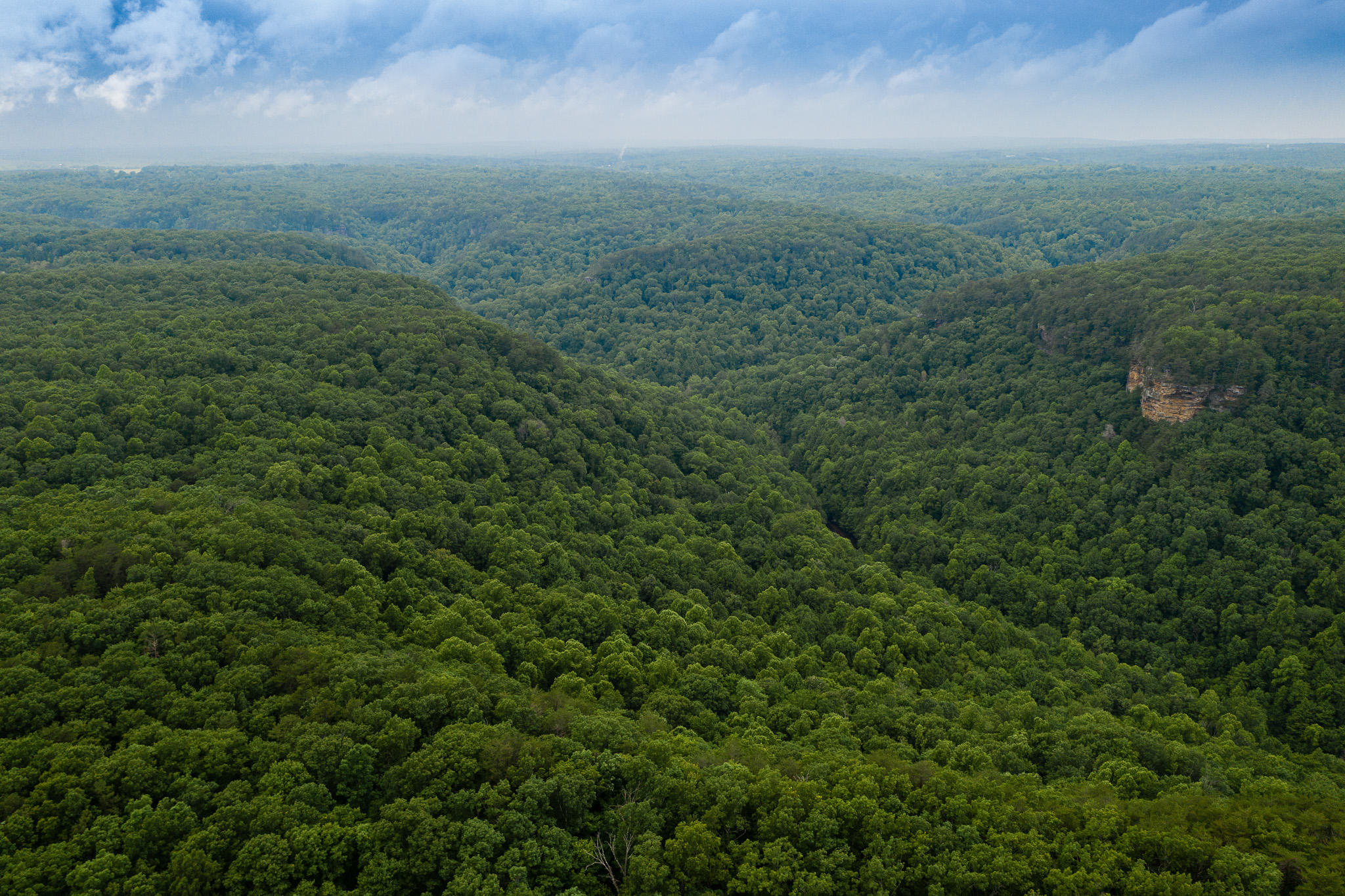 916 N Rim Drive, Nb1