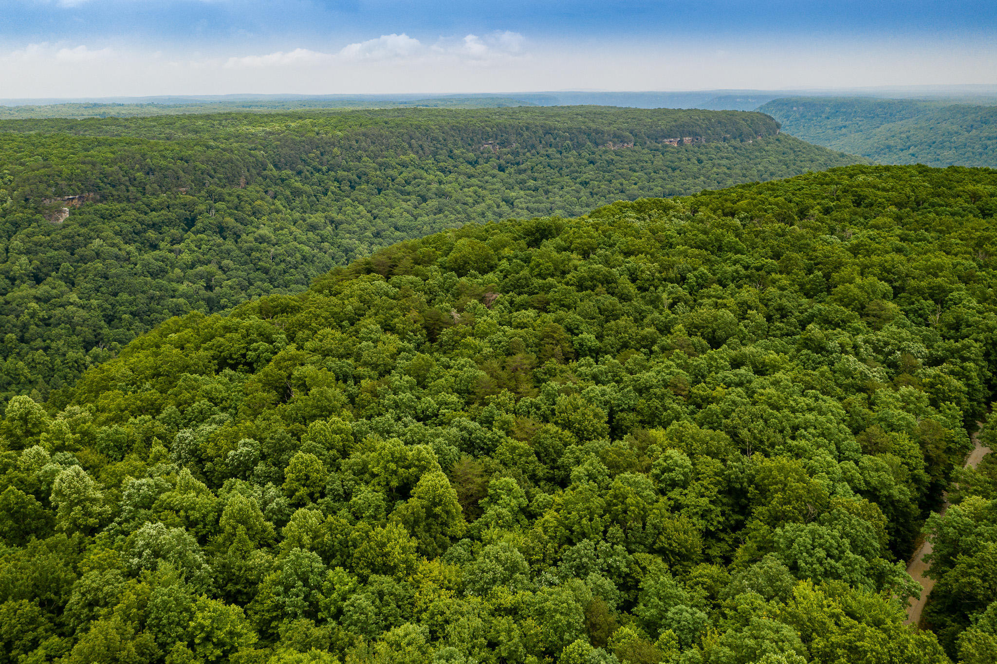 916 N Rim Drive, Nb1