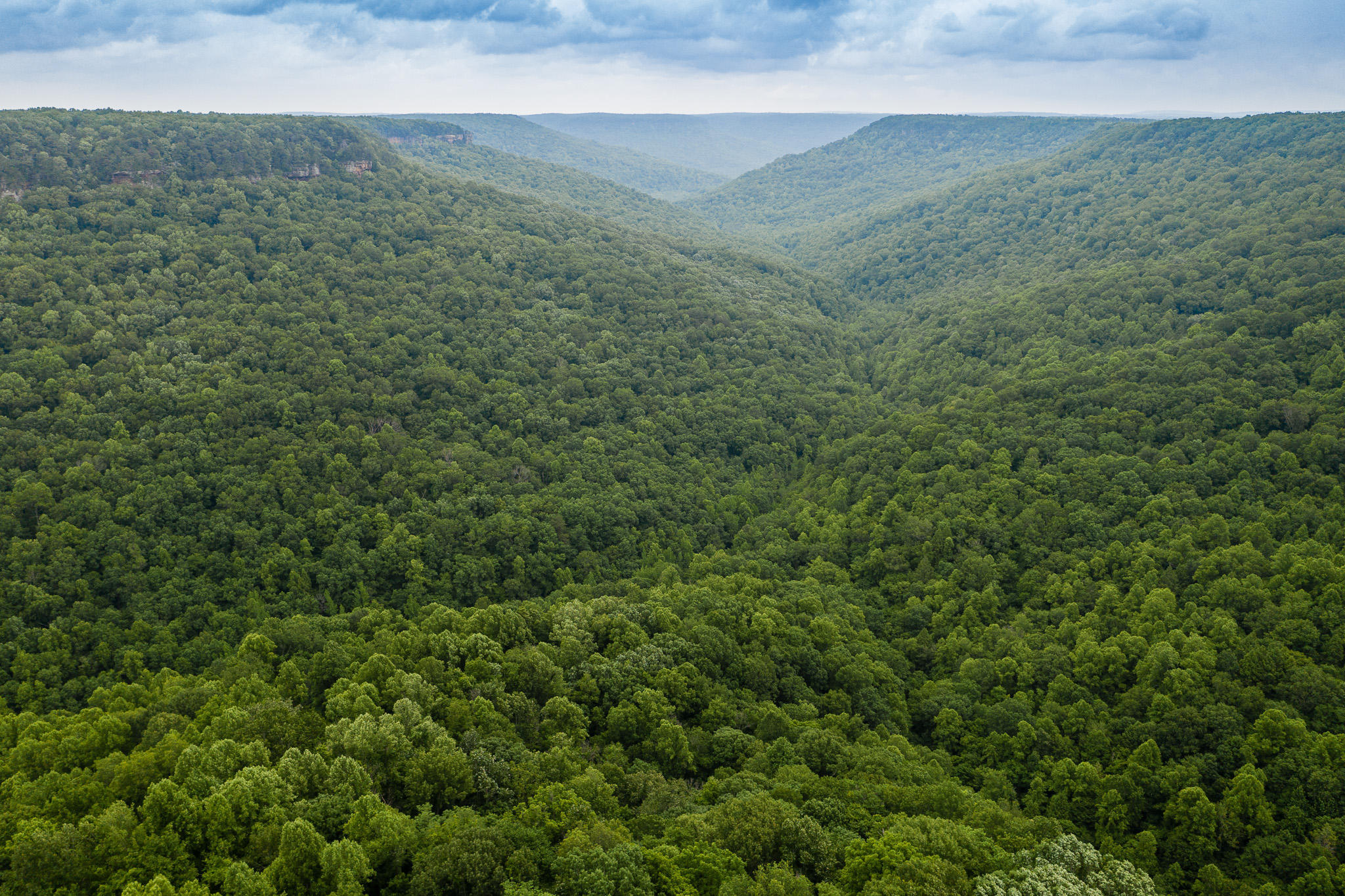 916 N Rim Drive, Nb1