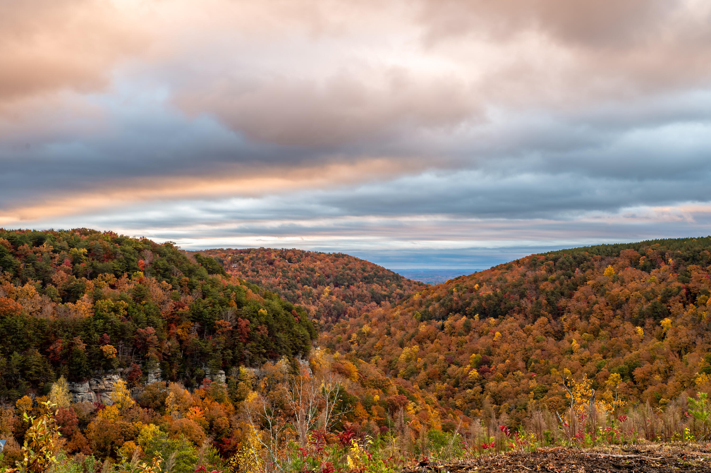 2364 Three Gorges Road, Lot 45