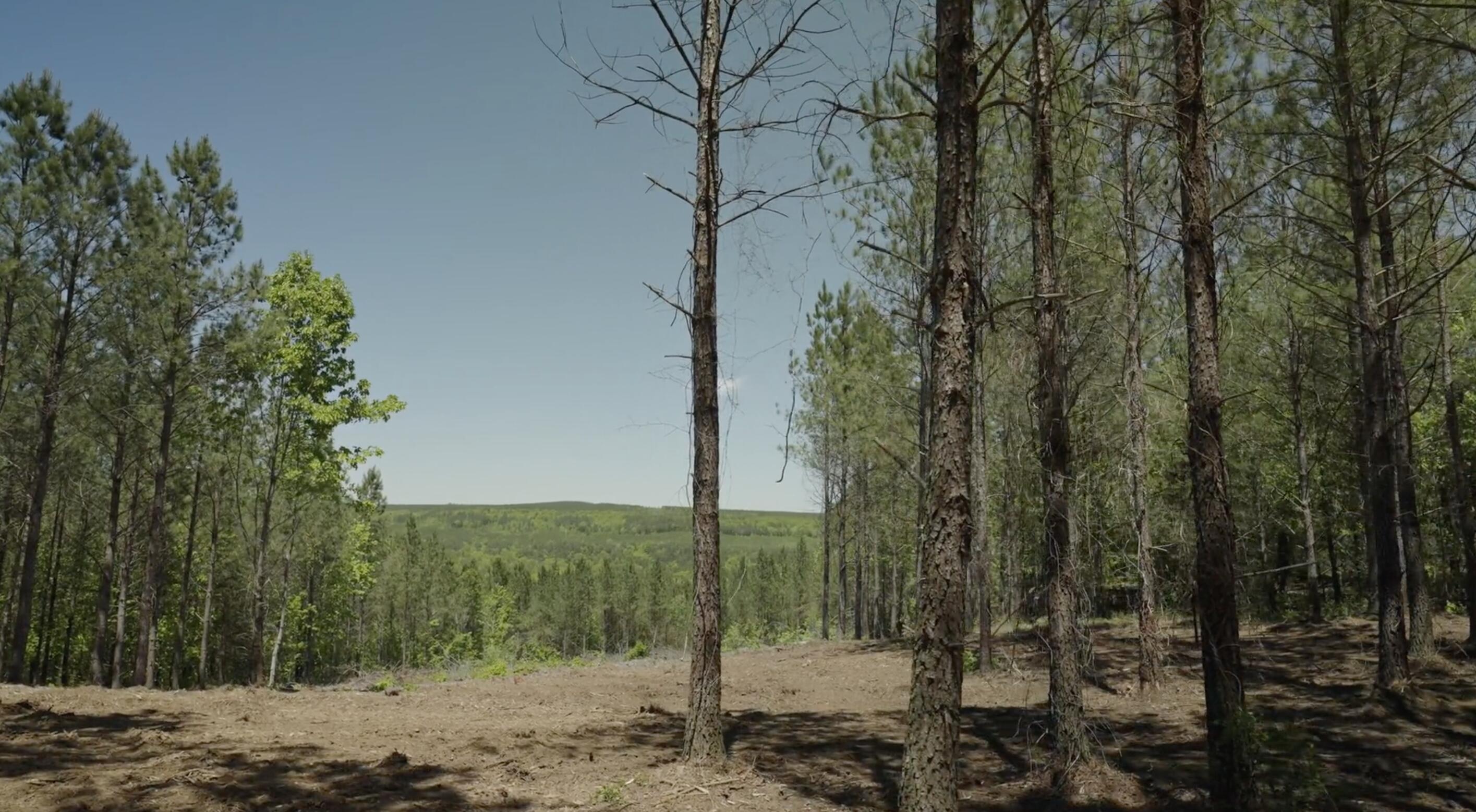 2385 Three Gorges Road, Lot 1