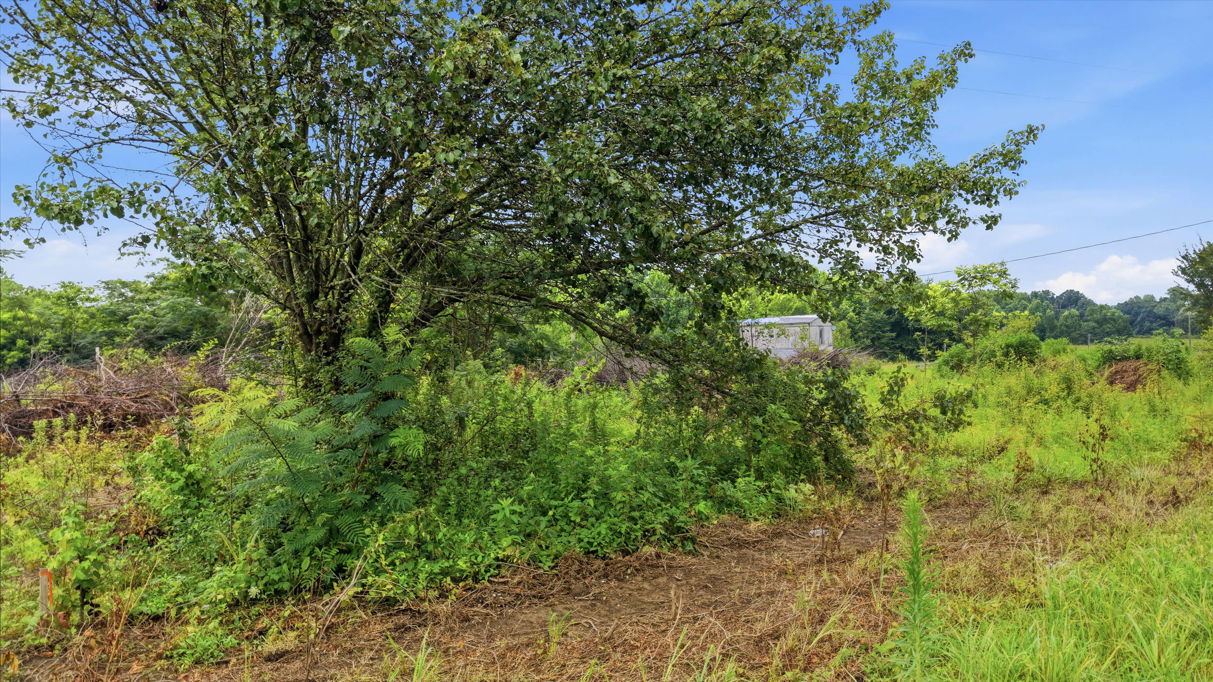 319 County Road 315, Lot 3