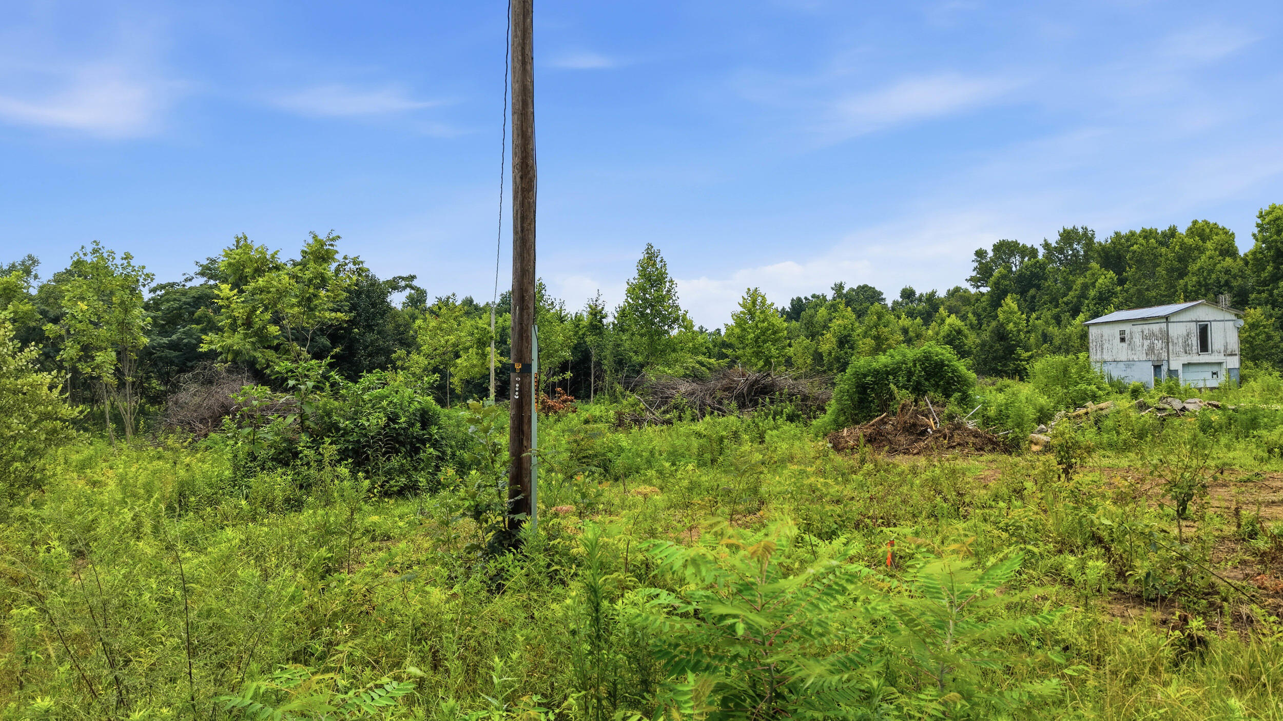 319 County Road 315, Lot 3