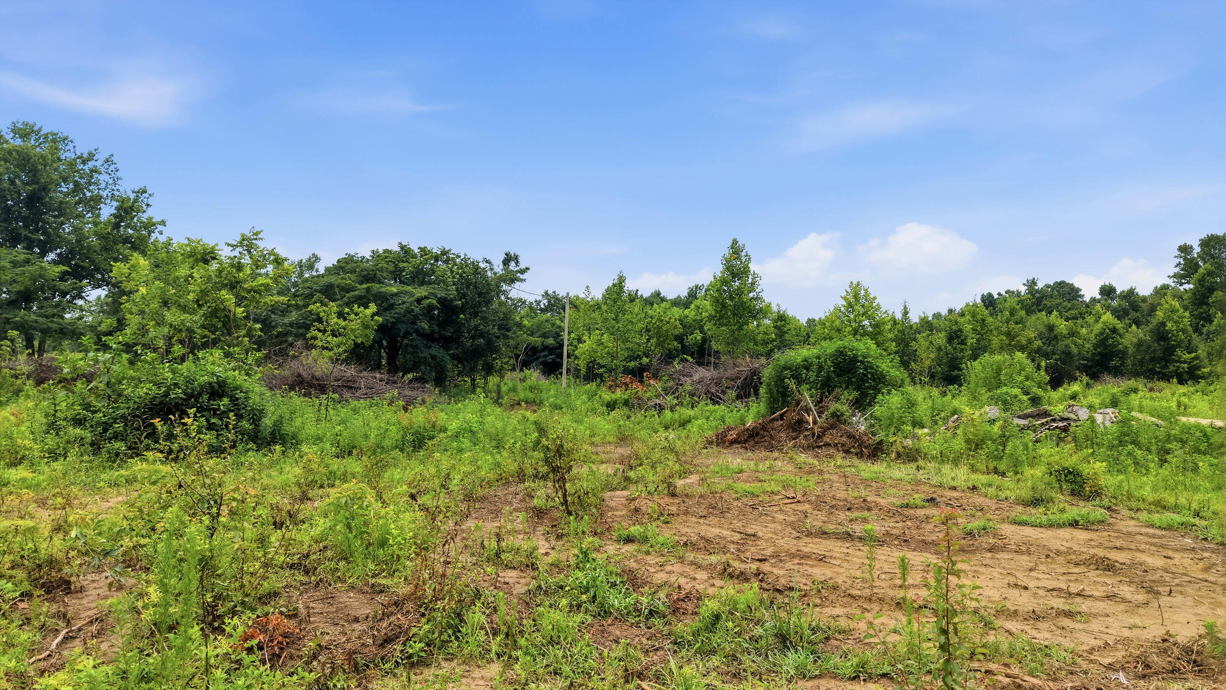 319 County Road 315, Lot 3