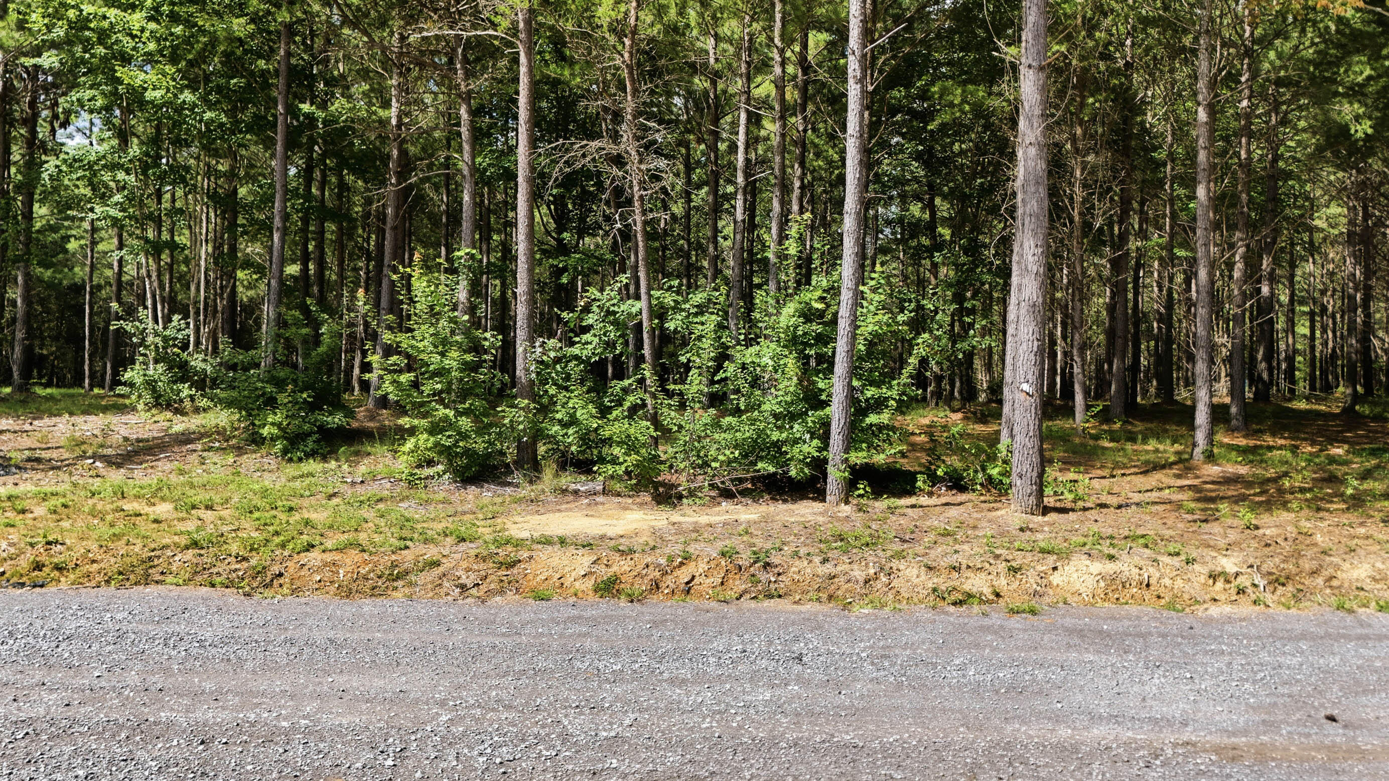 0 Worley Road, Lot 2