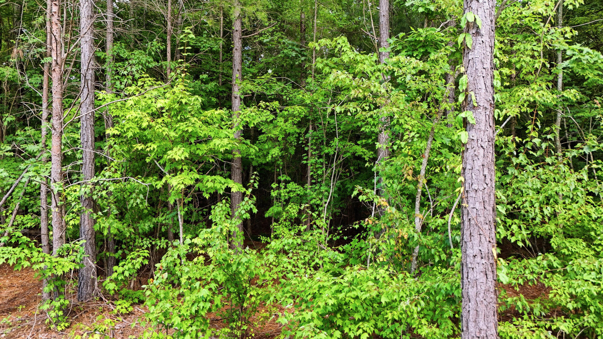 0 Worley Road, Lot 10