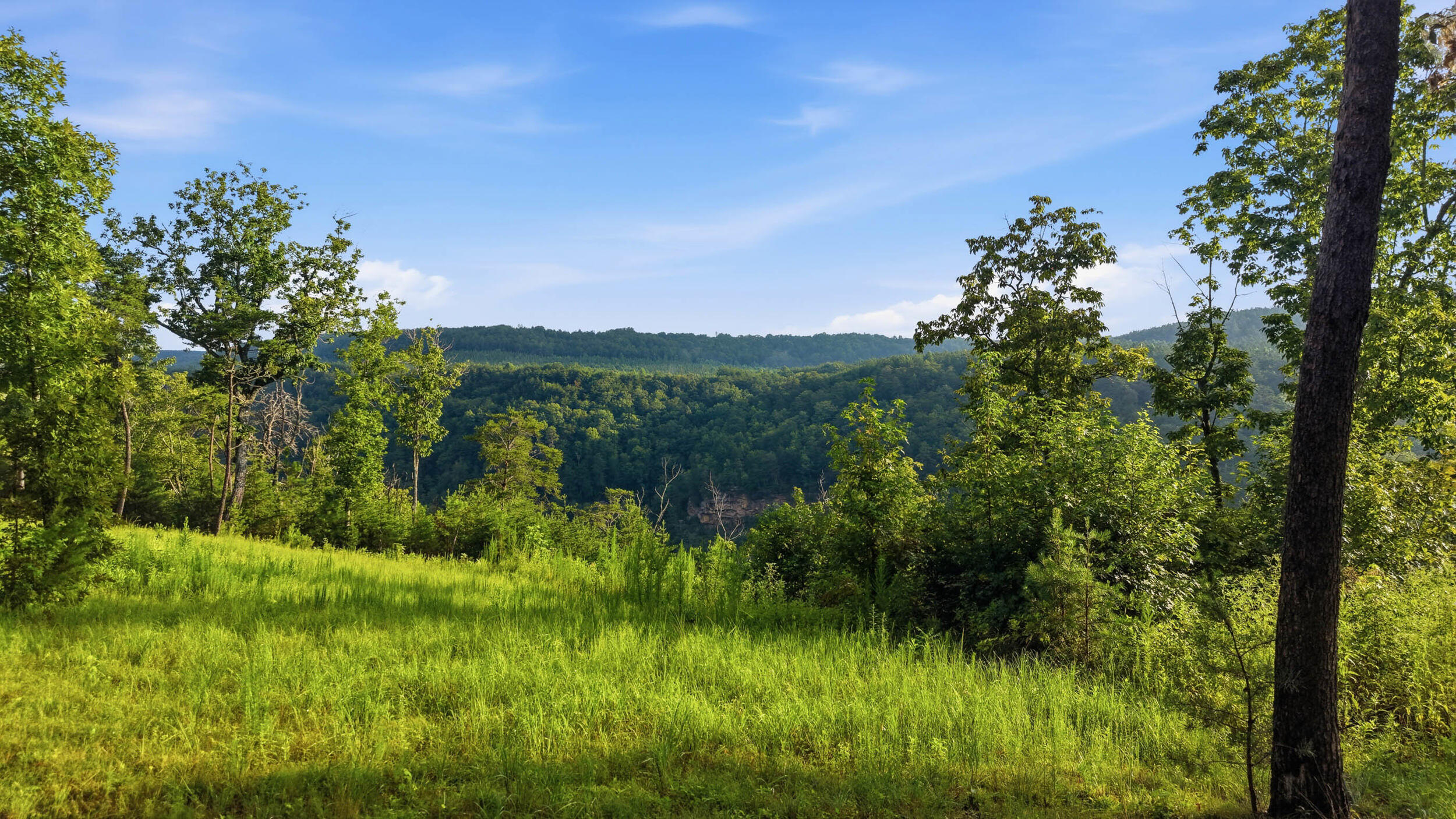 0 Worley Road, Lot 13