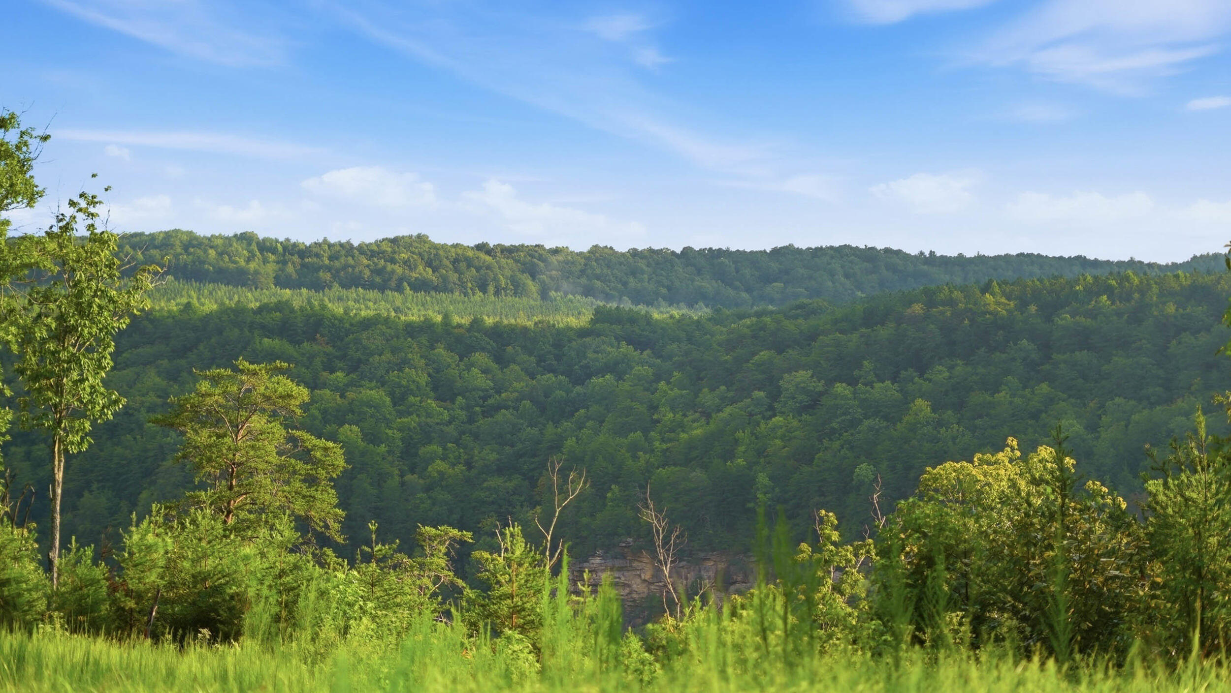0 Worley Road, Lot 13