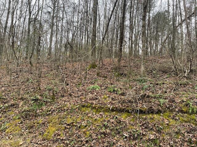 00 Wooten Lane