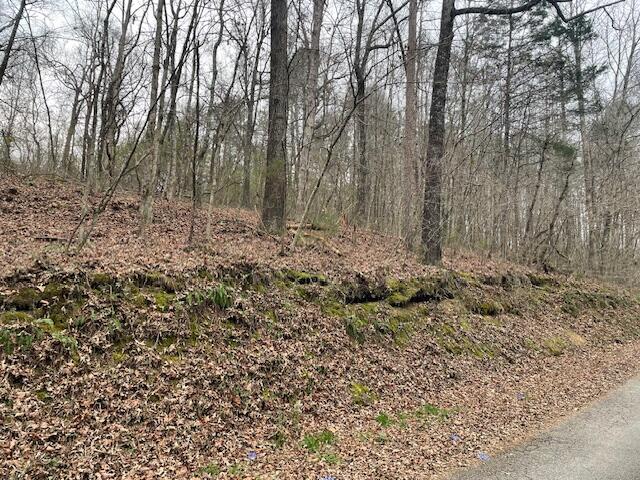 00 Wooten Lane