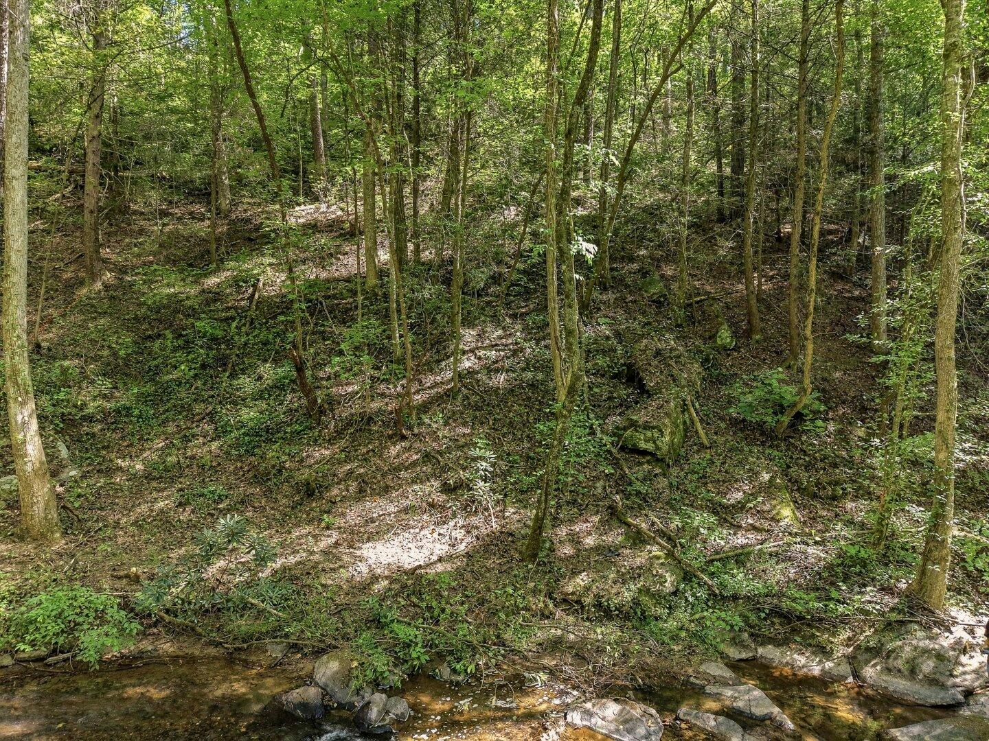 0 Dell Moore Road, Lot 3