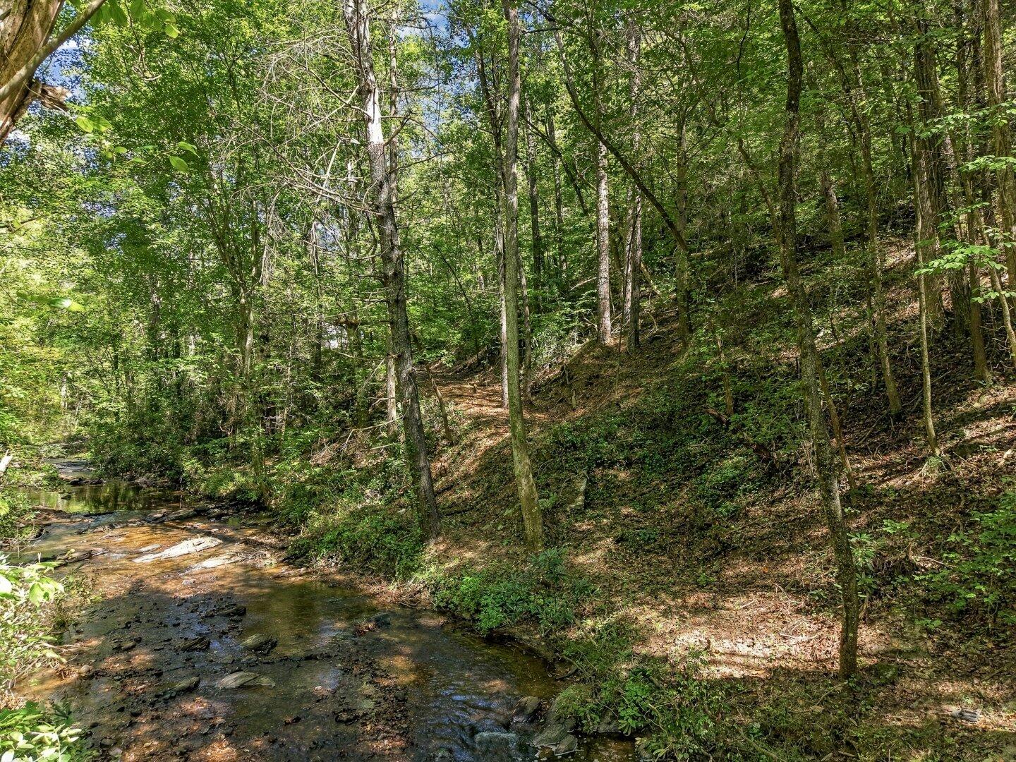 0 Dell Moore Road, Lot 4