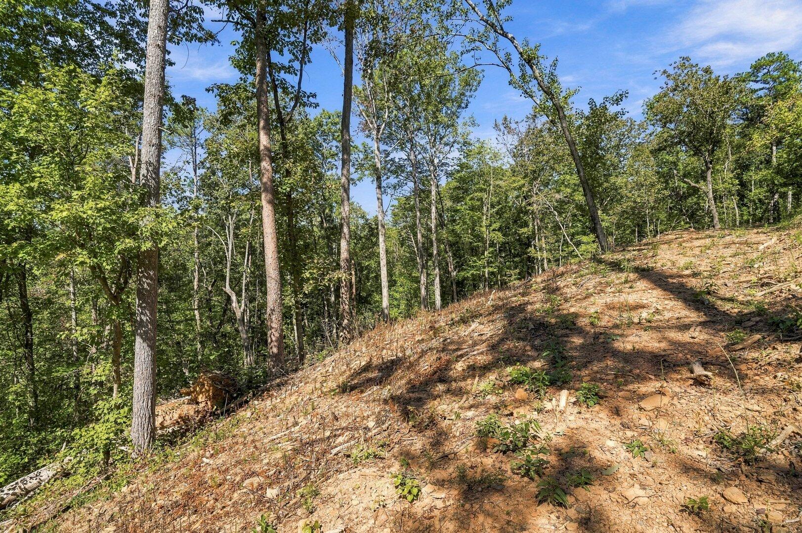 0 Dell Moore Road, Lot 4