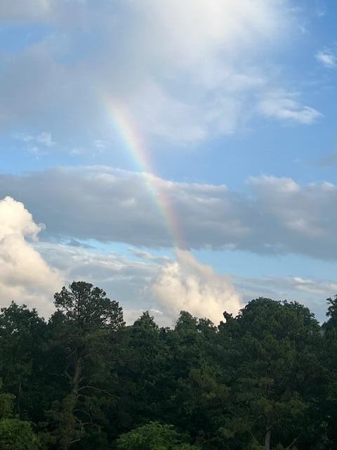 1414 Continental Drive Unit: 407+409