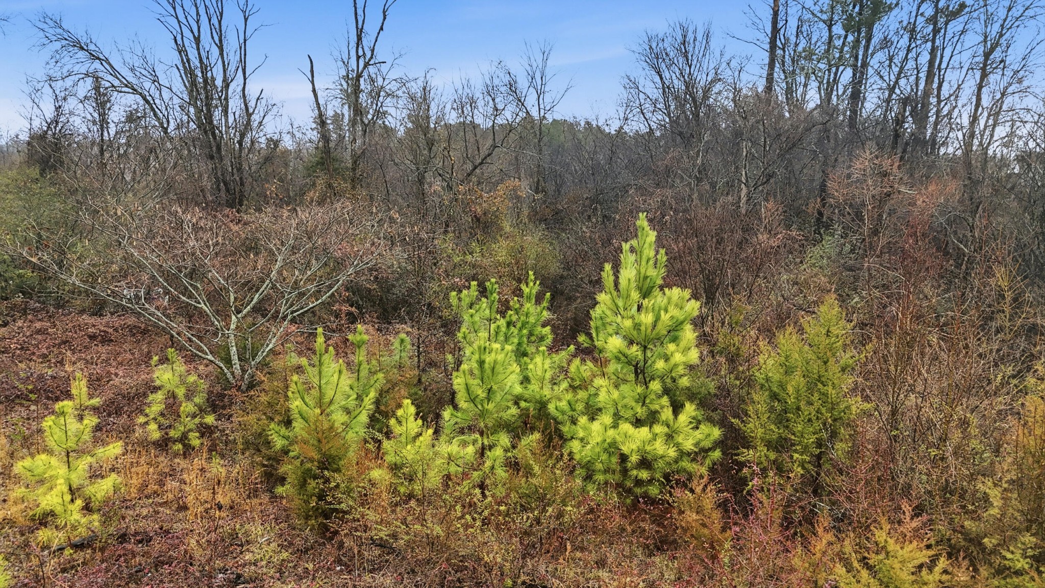 7521 Shallowford Road