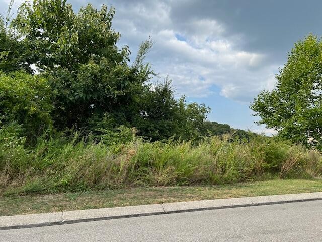 21362124 Short Leaf Lane