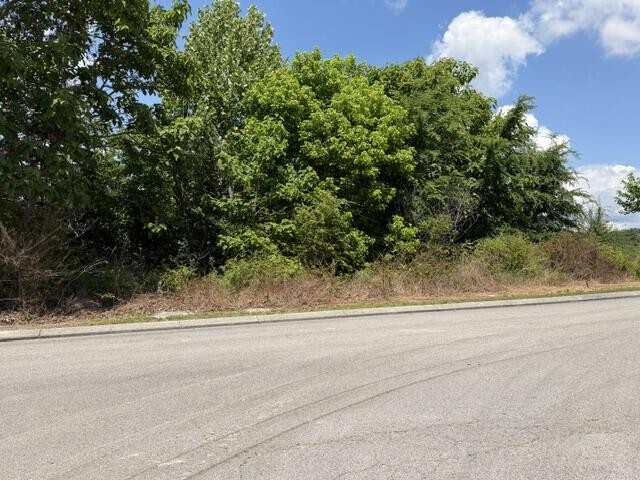 21362124 Short Leaf Lane