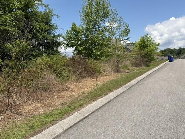 21362124 Short Leaf Lane
