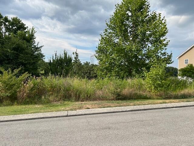 21362124 Short Leaf Lane