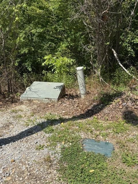 21362124 Short Leaf Lane