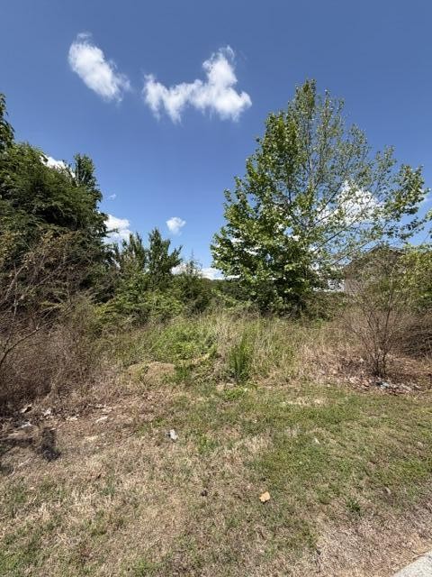 21362124 Short Leaf Lane