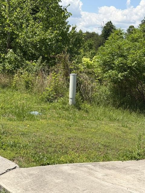 21362124 Short Leaf Lane