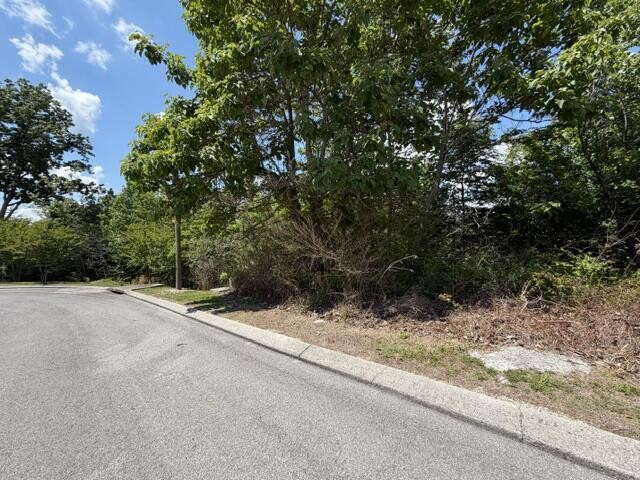 21362124 Short Leaf Lane