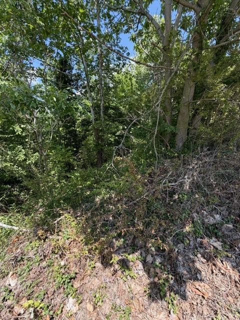 21362124 Short Leaf Lane