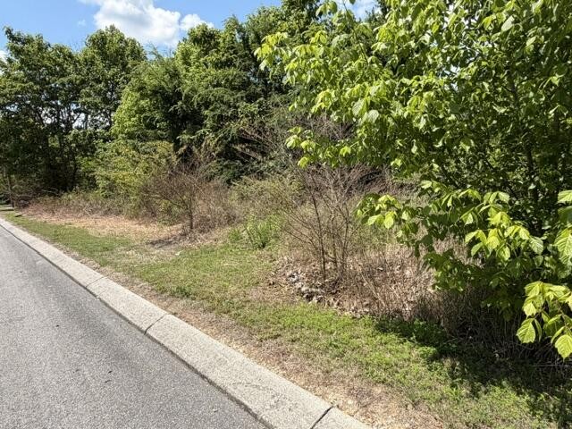 21362124 Short Leaf Lane