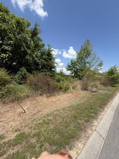 21362124 Short Leaf Lane