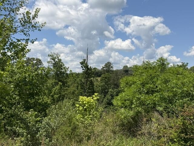 21362124 Short Leaf Lane