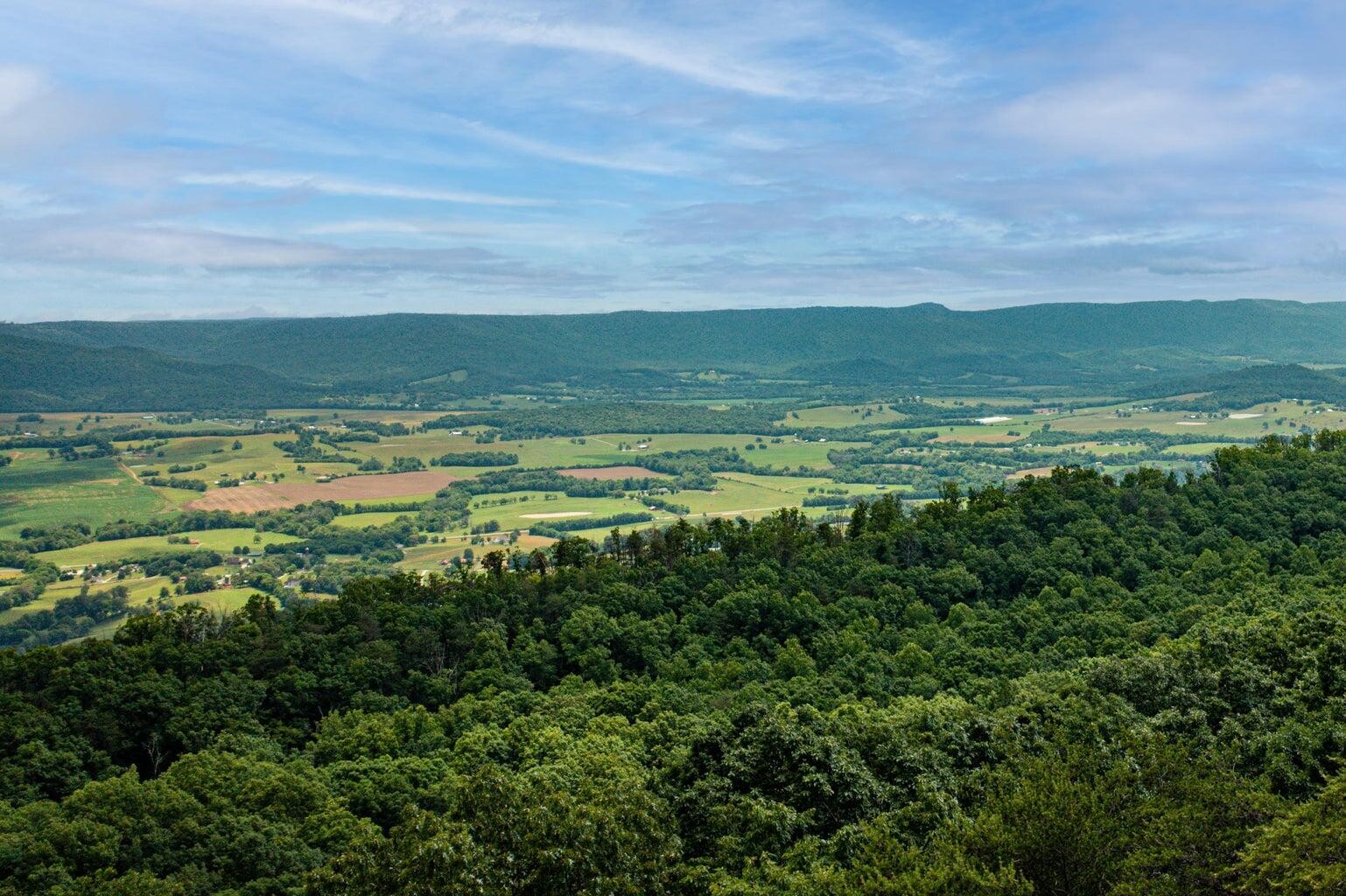 196 Big Bluff View
