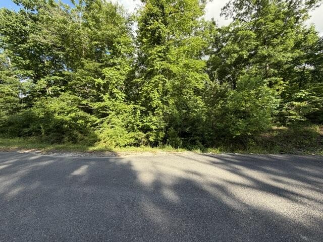 196 Big Bluff View
