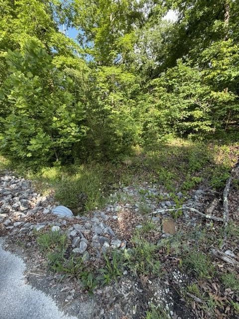 196 Big Bluff View